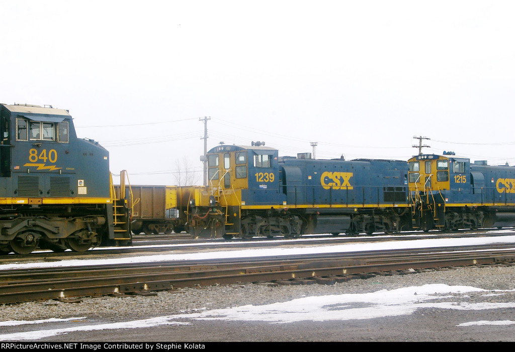 CSX 1239